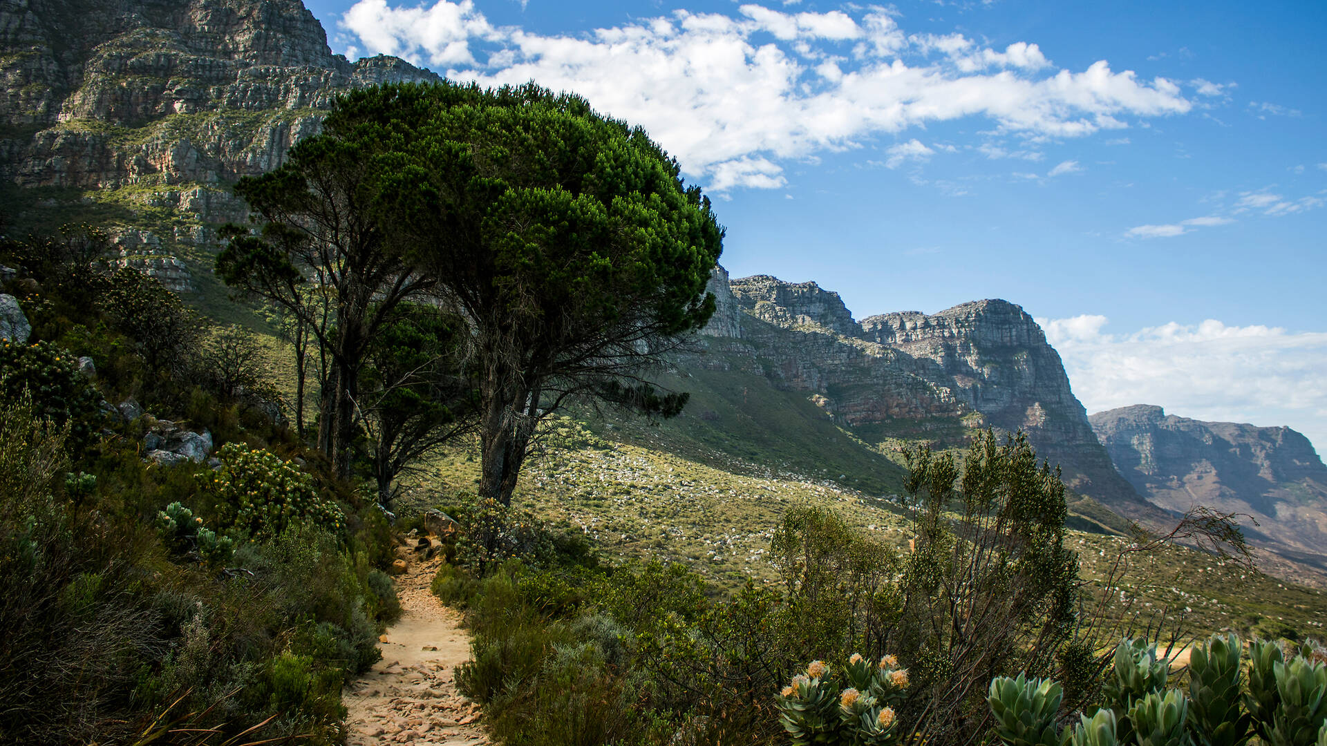 14 BEST THINGS TO DO IN CAPE TOWN visual data 8
