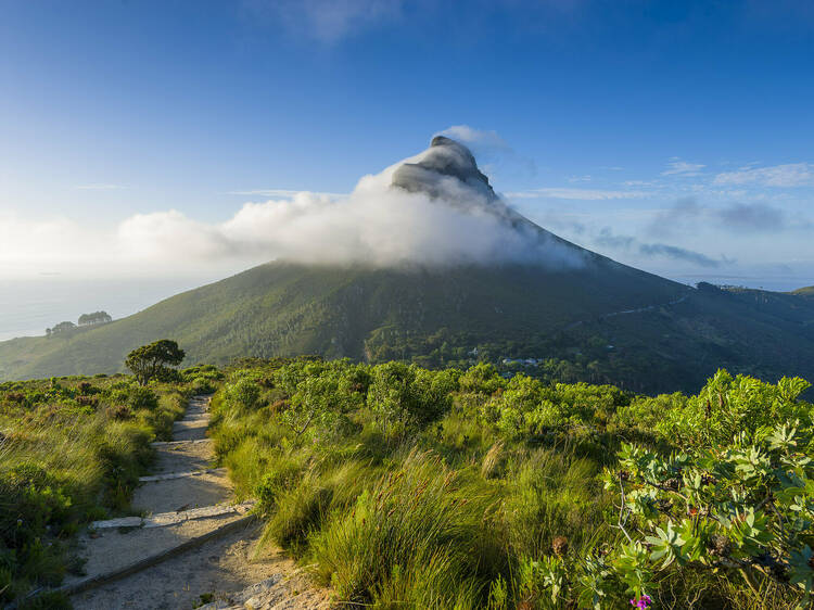 The 10 best day hikes in Cape Town