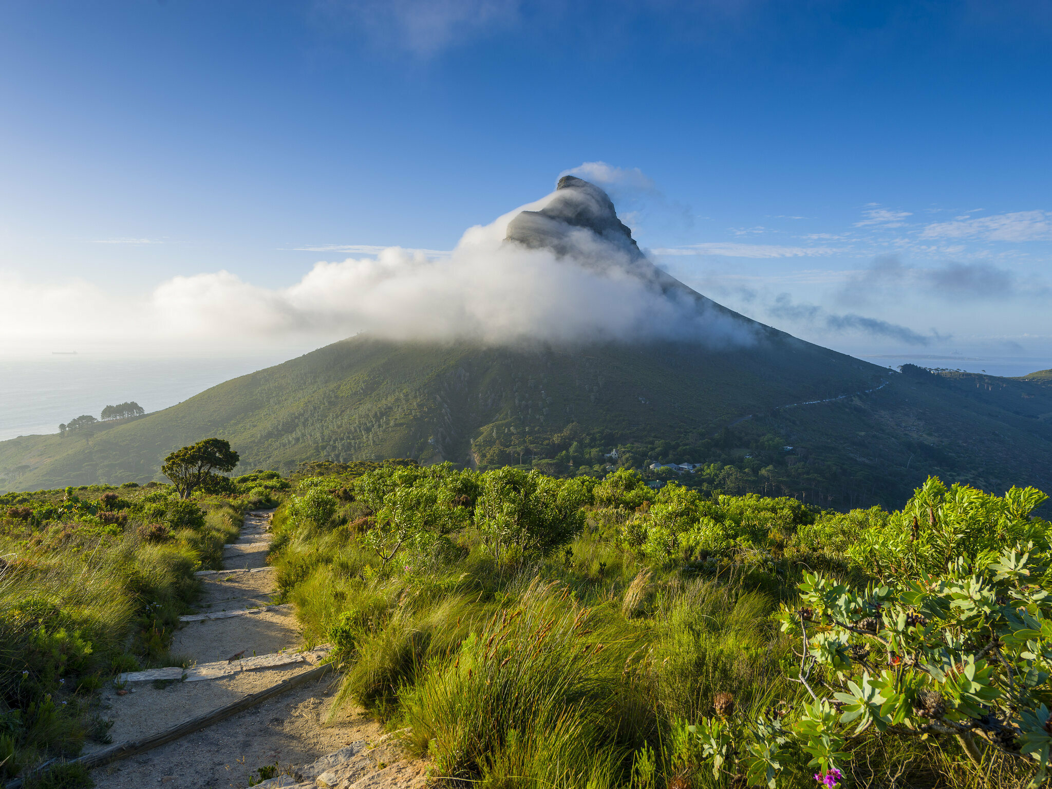 10 Best Walking Trails in Western Cape