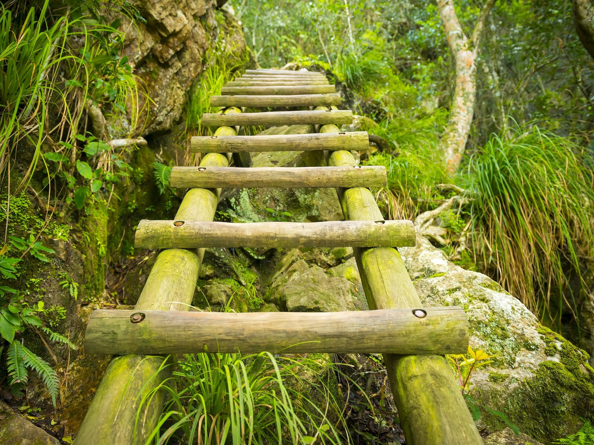 Skeleton Gorge hiking trail