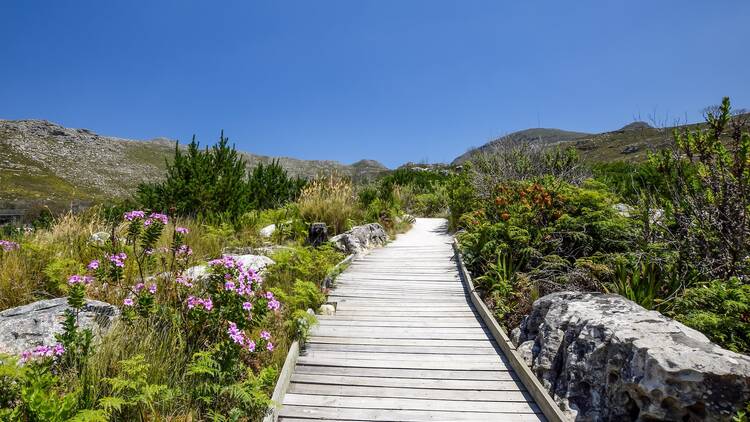 Silvermine River Walk