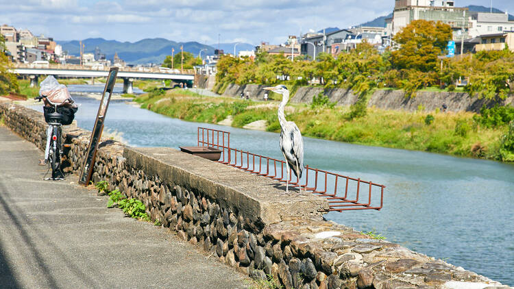 川沿いに座る一人になる。