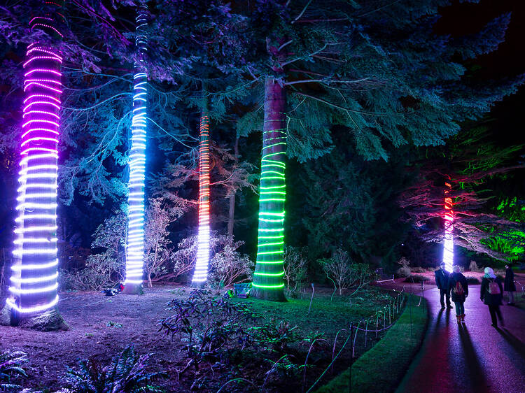 Be dazzled by Lightscape at Brooklyn Botanic Garden