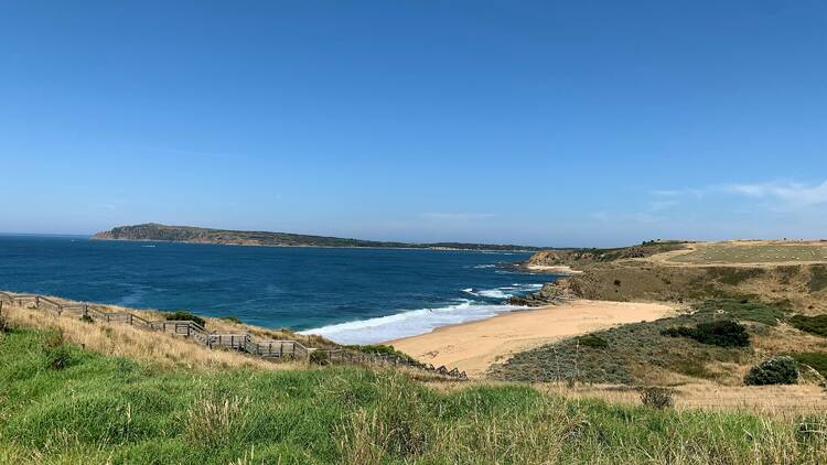 A photo of a coastline with a sandy beach, blue sky and green grass. 