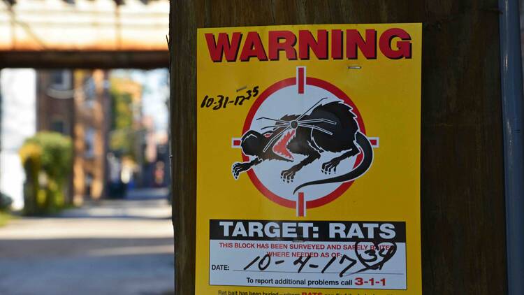 A pest control warning sign on a pole.