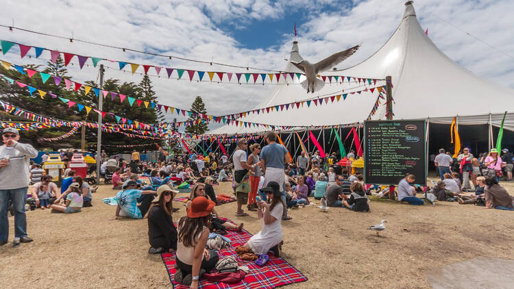 picture of people sitting down at the grass at queenscliff festival