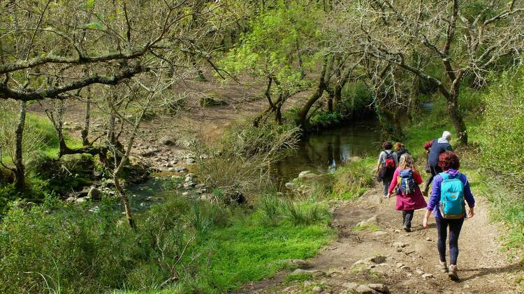 Ribeira de Cabrela