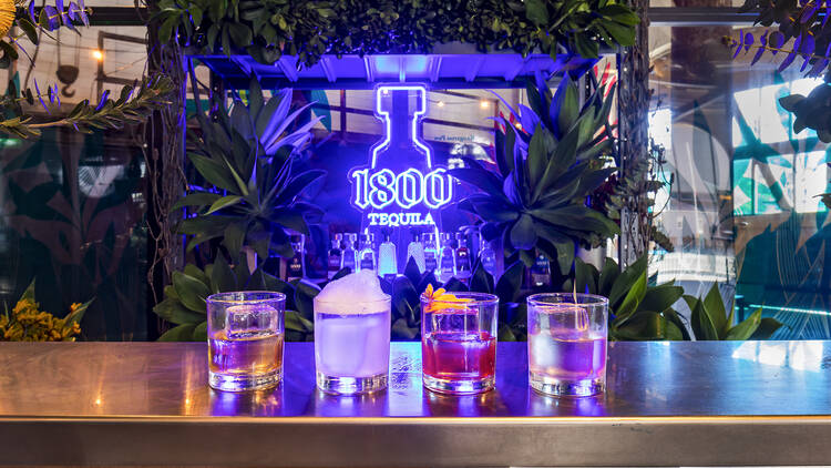 Four cocktails made with 1800 Tequila at the Greenhouse Bar.