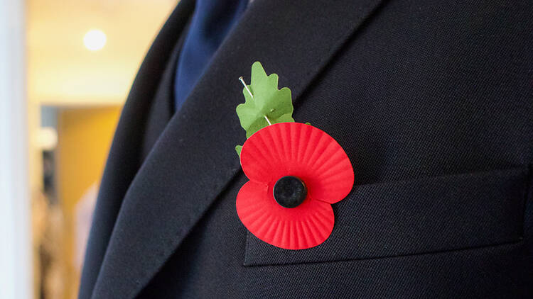 First look at new poppy as Royal British Legion launches eco campaign, News