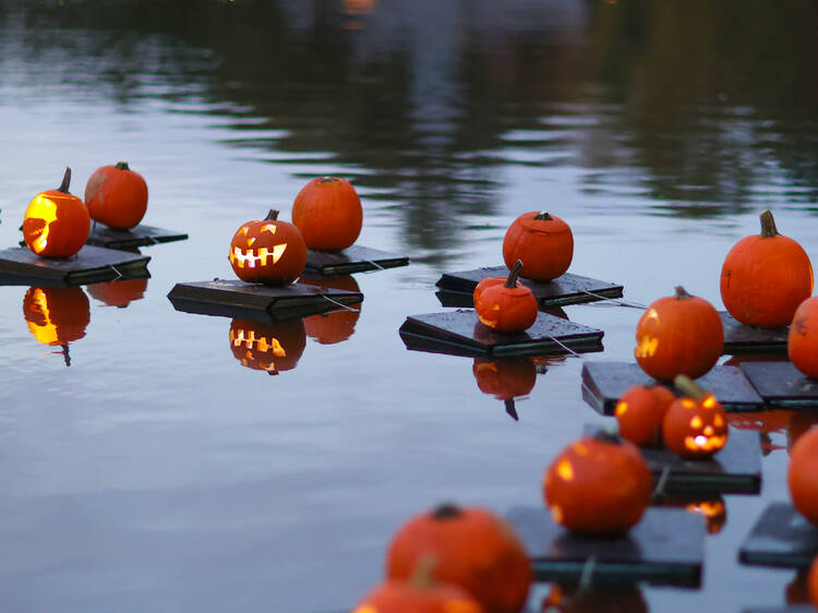 Bring your pumpkin to the Halloween Pumpkin Flotilla