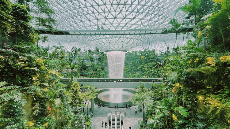 Gawk at the rain vortex at Jewel Changi Airport