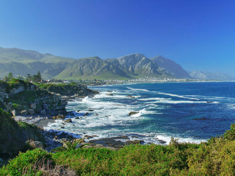 The 9 best day trips from Cape Town