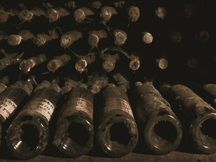 Visita nocturna às caves da Cockburn's Visita nocturna às caves da Cockburn's