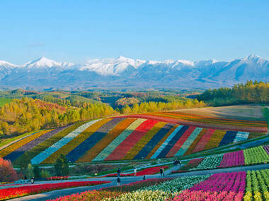 観光庁が日本の「オーバーツーリズム対策」を取りまとめ 観光庁が日本の「オーバーツーリズム対策」を取りまとめ