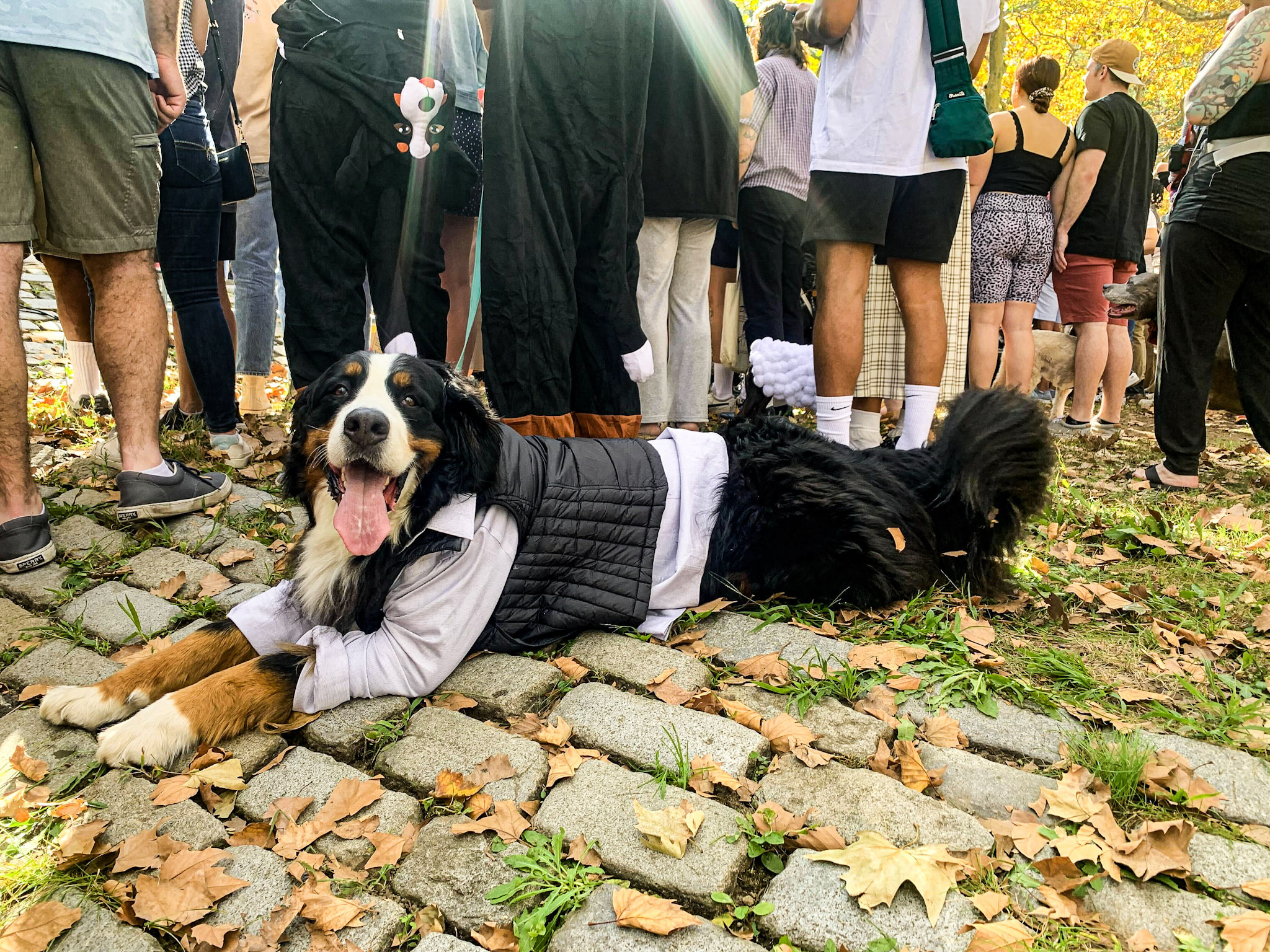 16 great photos from NYC’s spooky Halloween weekend