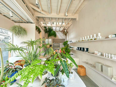 築60年の長屋を改修、幡ヶ谷に植物と香りの店「ロウカ」がオープン 築60年の長屋を改修、幡ヶ谷に植物と香りの店「ロウカ」がオープン