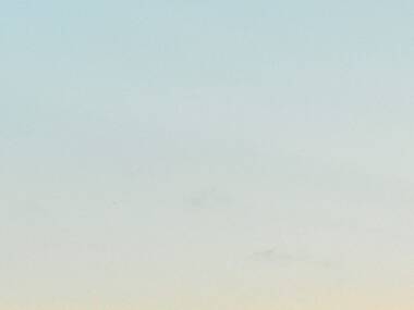 Twilight at Taronga Twilight at Taronga