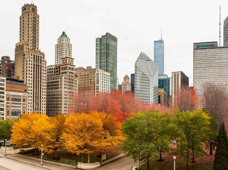 The best fall activities in Chicago The best fall activities in Chicago