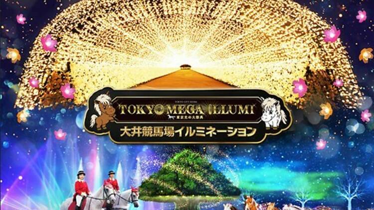 Tokyo Mega Illumination | Things to do in Tokyo