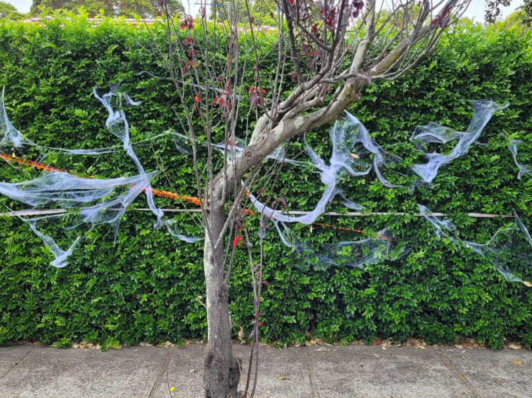 A Sydney council has warned residents to take down this legit nightmarish Halloween decoration