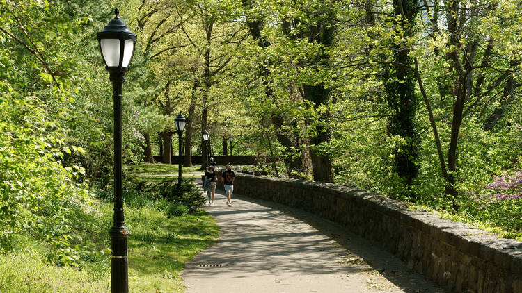 Green trees in Fort Tryon Park.