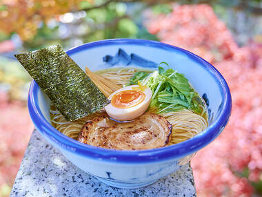 秋の絶景と紅葉ライトアップ、ラーメン「AFURI」が神社に出店 秋の絶景と紅葉ライトアップ、ラーメン「AFURI」が神社に出店