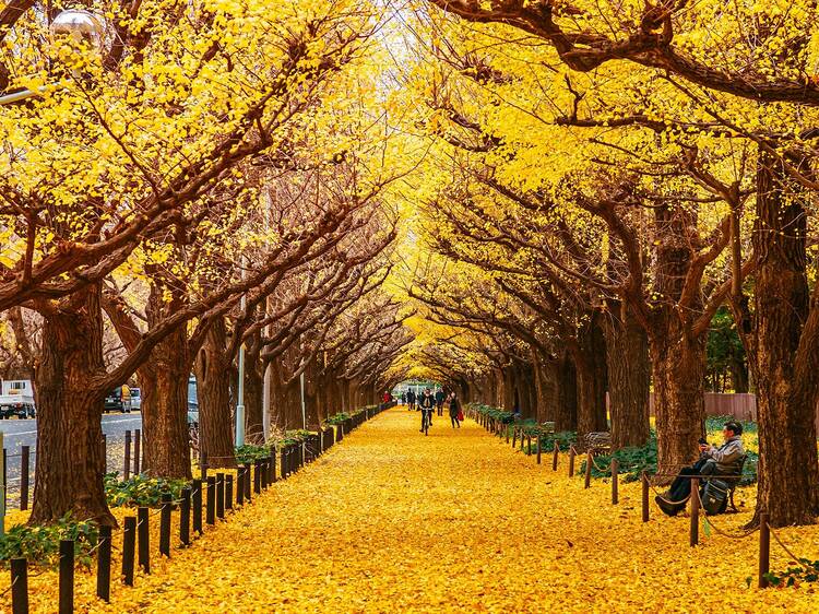 Tokyo ranked as one of the top travel destinations to visit this autumn