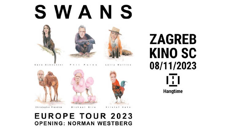 Swans in Zagreb poster, 8-11-23