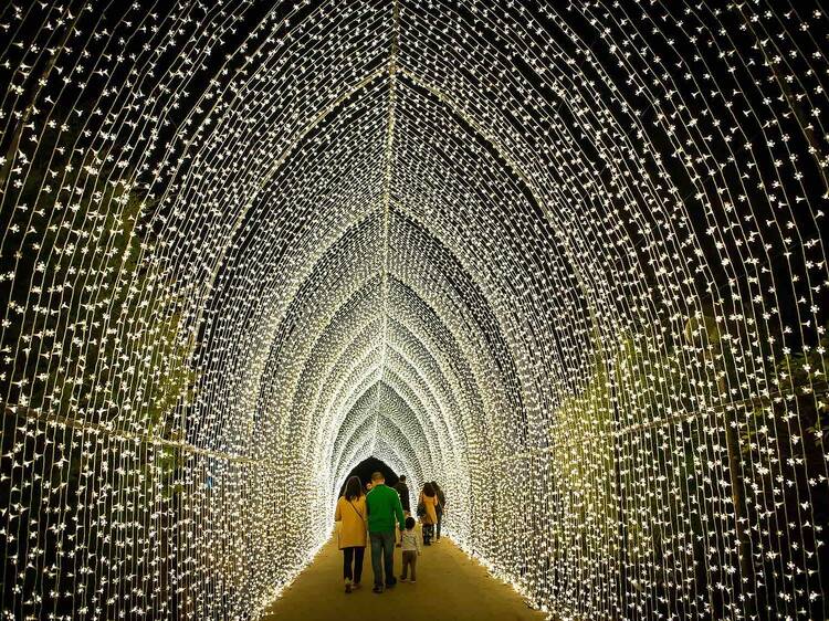 A family walking through a display of lights