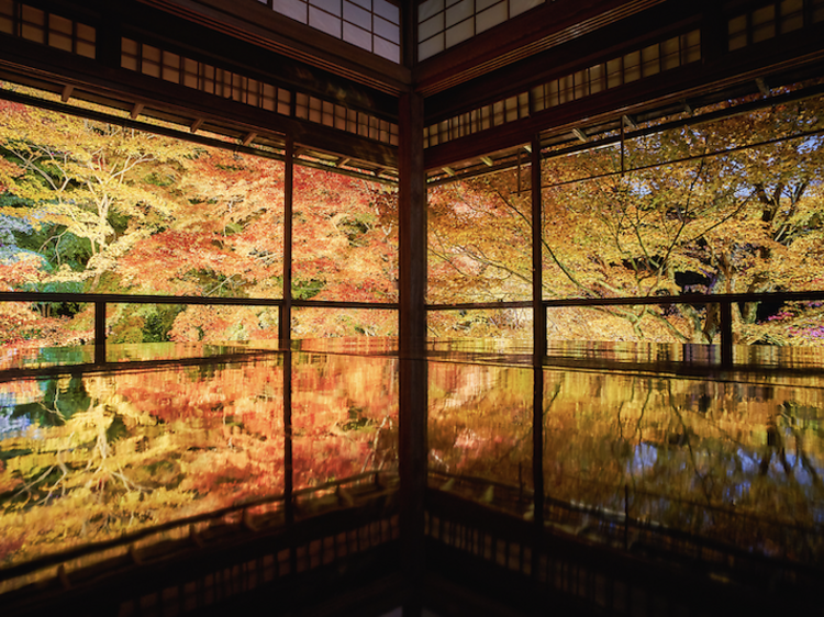 瑠璃光院（京都府）