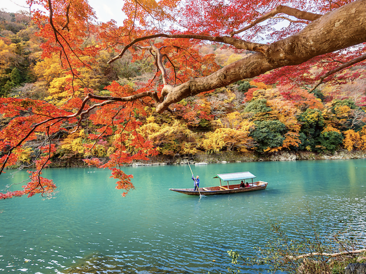 嵐山（京都府）