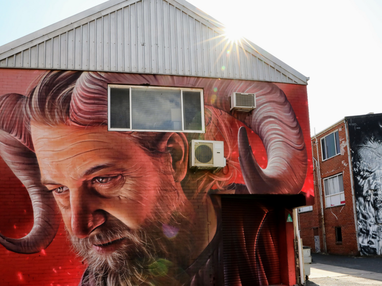 Marvel at murals on a street art tour