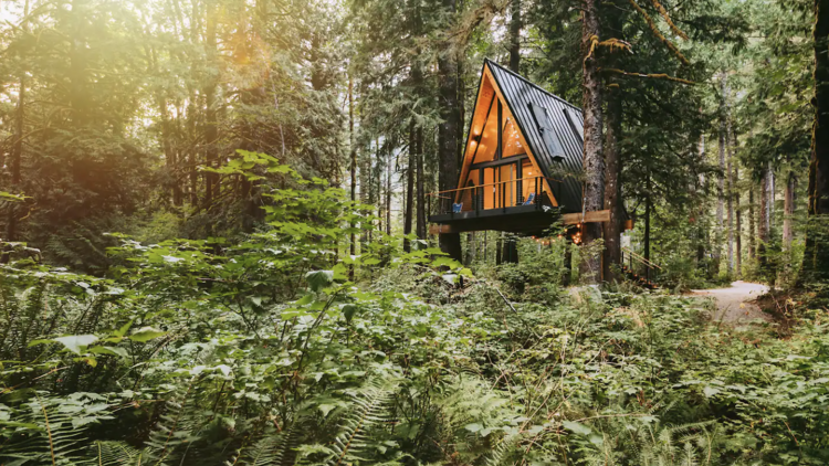 A modern A-frame treehouse out in the wild