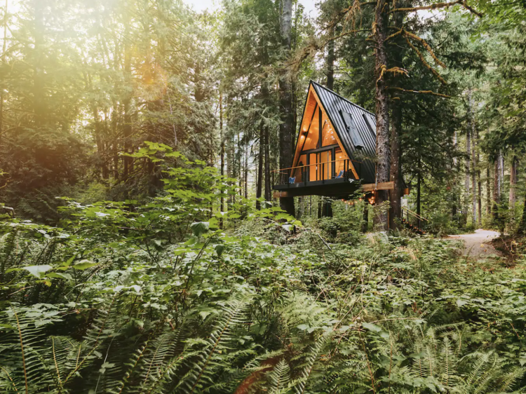 A modern A-frame treehouse out in the wild