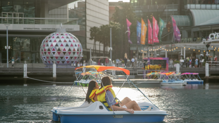 Pedal Boats on the Harbour