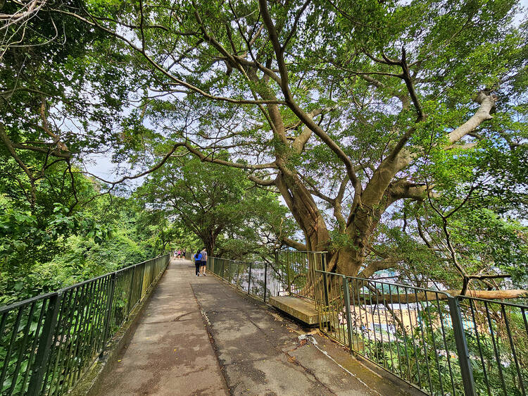 Where to jog or run in Hong Kong