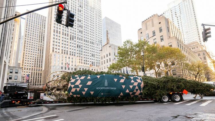 The 2023 Rockefeller Center Christmas Tree on a flatbed truck