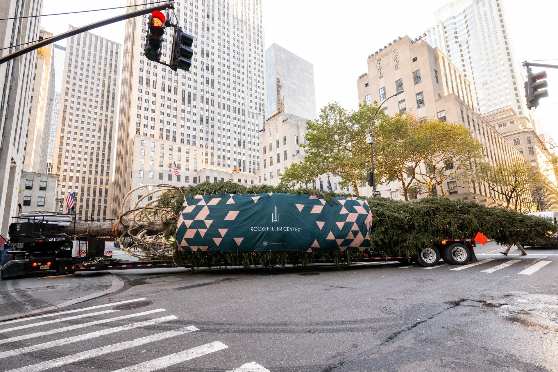 The 2023 Rockefeller Center Christmas Tree on a flatbed truck