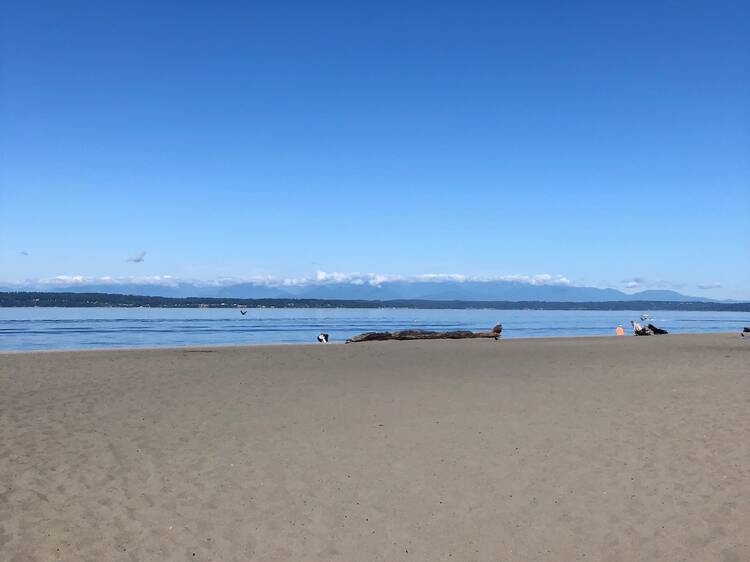 Golden Gardens