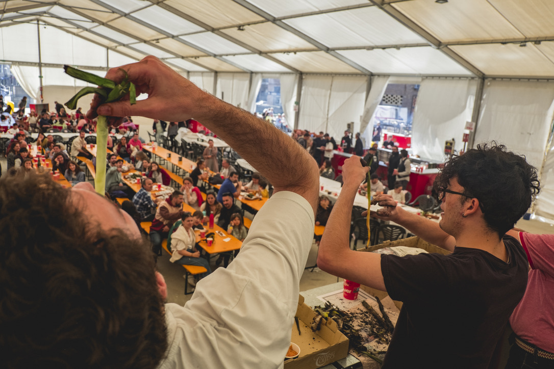 Calsotada Fest