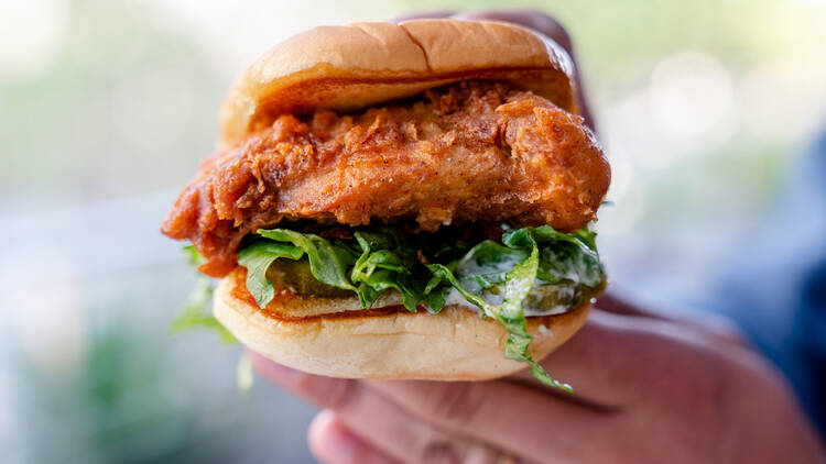 Shake Shack chicken sandwich