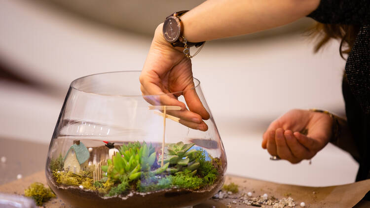 Classic terrarium workshop