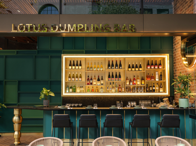 Lotus Dumpling Bar