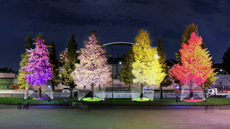 Flower and Light Movement at Komazawa Olympic Park