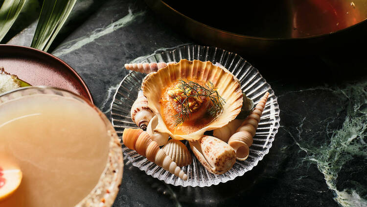 A shell-decorated scallop dish alongside a salt-rimmed cocktail.