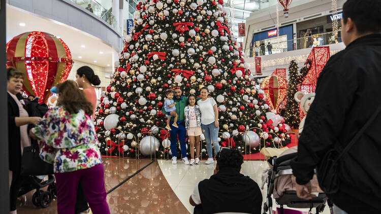 Familia posando para foto frente a árbol navideño