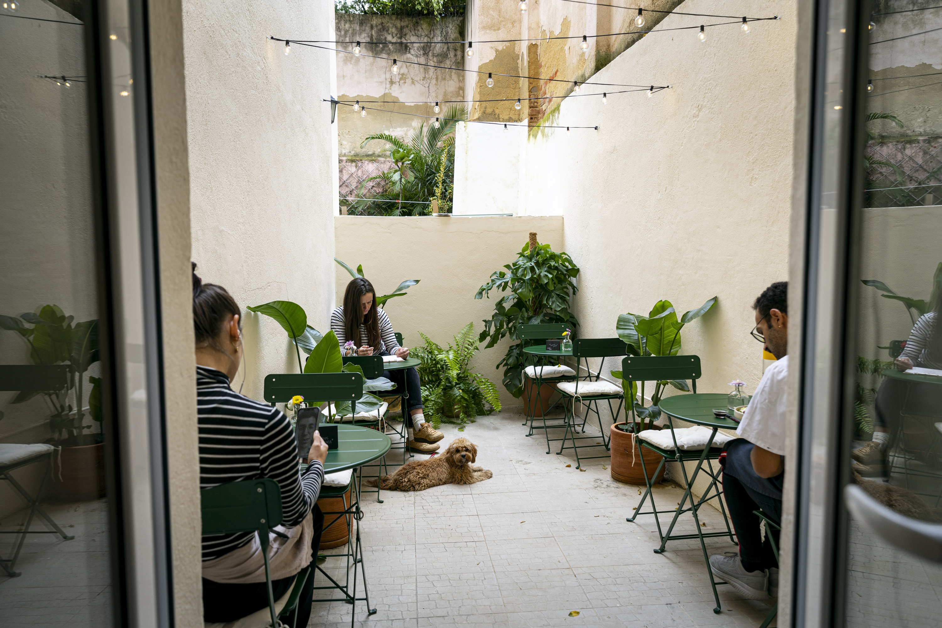 Fable Lisbon