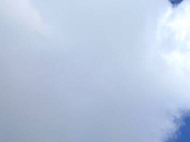 The long-awaited 99 Ranch Market is finally open in Westwood The long-awaited 99 Ranch Market is finally open in Westwood