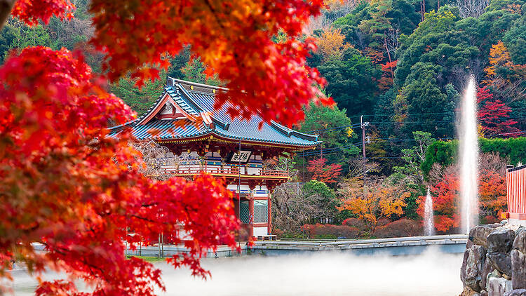 Katsuo-ji Temple Katsuo-ji Temple