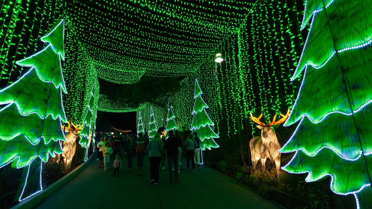 L.A. Zoo Lights Tickets, Dates for Los Angeles Zoo holiday show